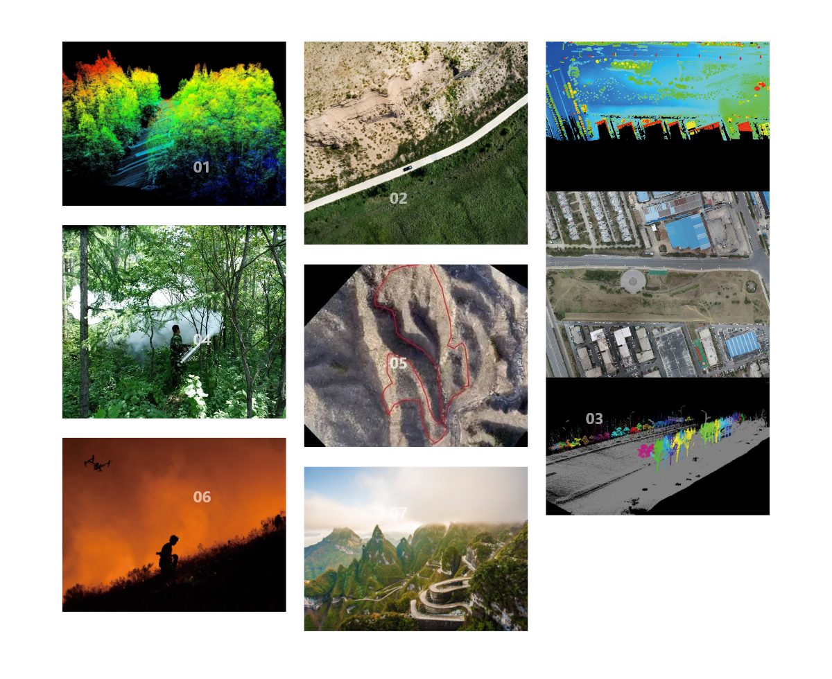 林业调查-Forestry Inspection(图1)