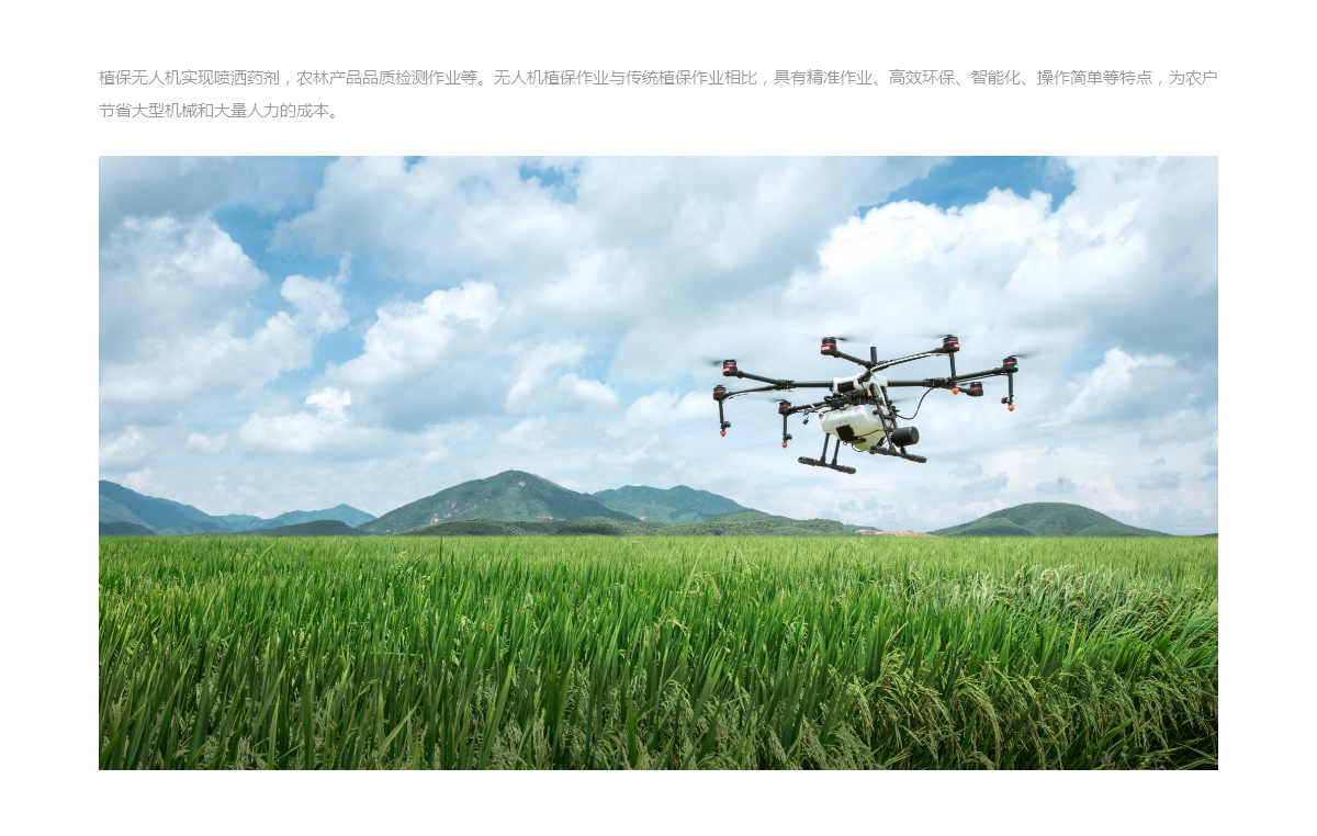 农林植保-Agricultural forestry and plant protection(图1)